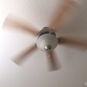 Meet your Posher, Malachi